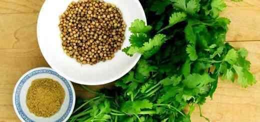 Coriander leaves, seeds and powder